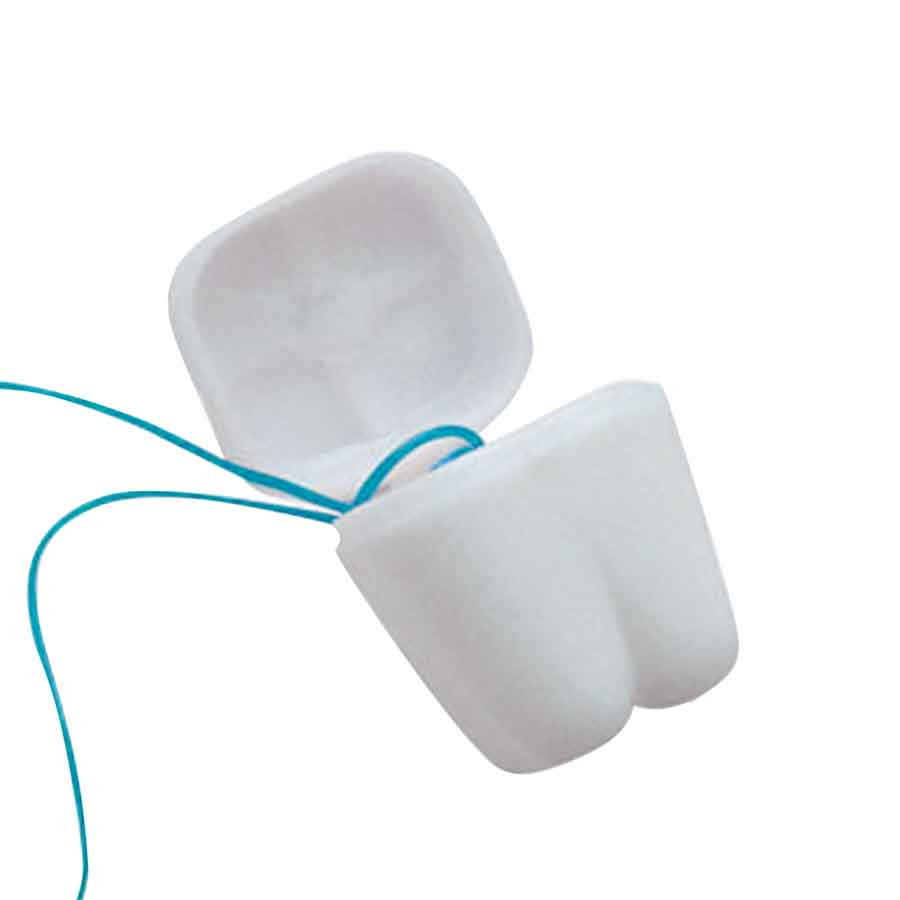 Tooth Bracelets (144-ct)