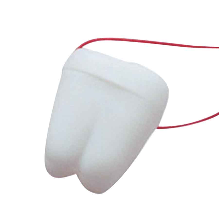 Deluxe Tooth Necklaces (144-ct)