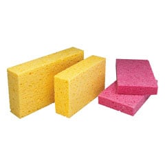 Sponges