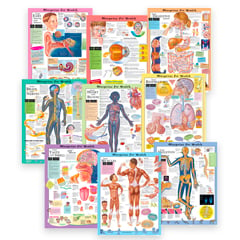 Blueprint for Health Elementary Health Charts