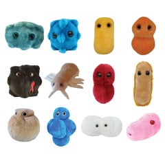 GiantMicrobes