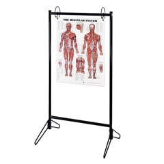 Chart Stand & Pamphlet Racks