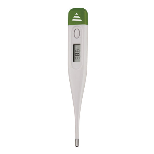 Economy Digital Thermometer