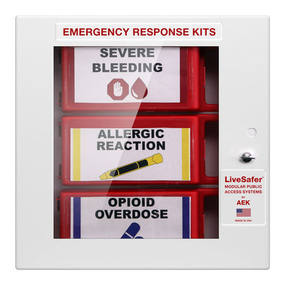 LiveSafer 3 Modular Public Access First Aid System