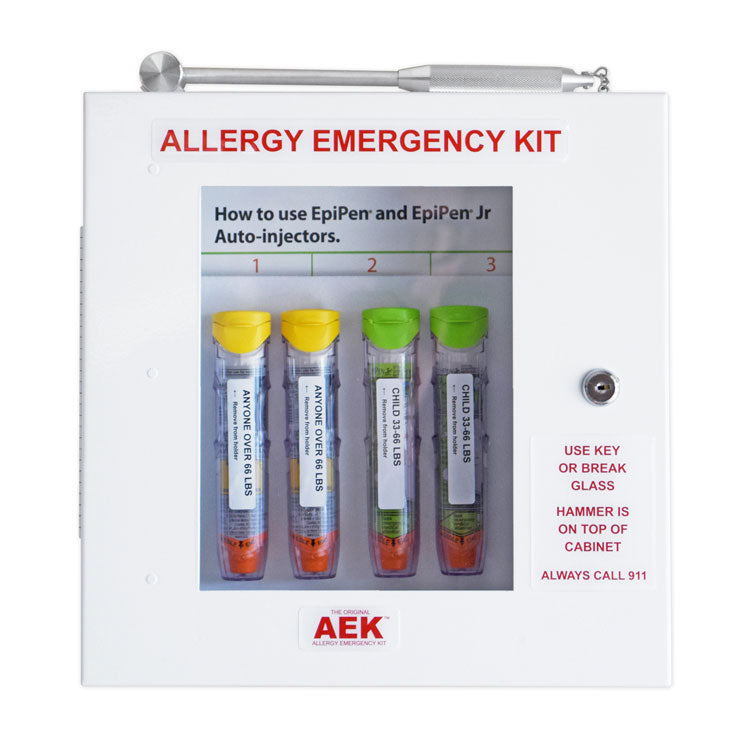 Allergy Emergency Cabinet Kit, with Lock & Hammer