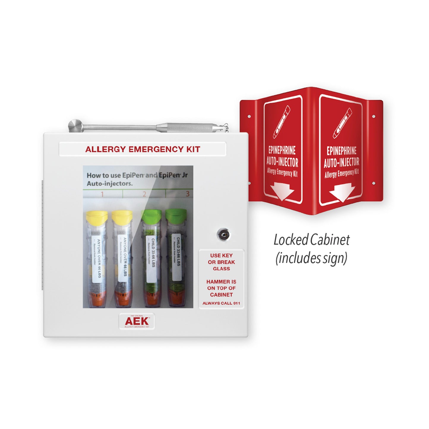 Allergy Emergency Cabinet Kit, with Lock & Hammer