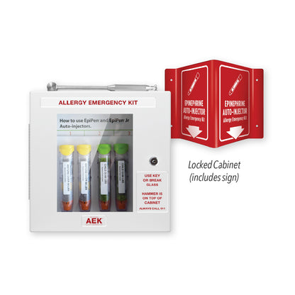 Allergy Emergency Cabinet Kit, with Lock & Hammer