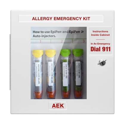 Allergy Emergency Cabinet Kit, with Vandalism Alarm