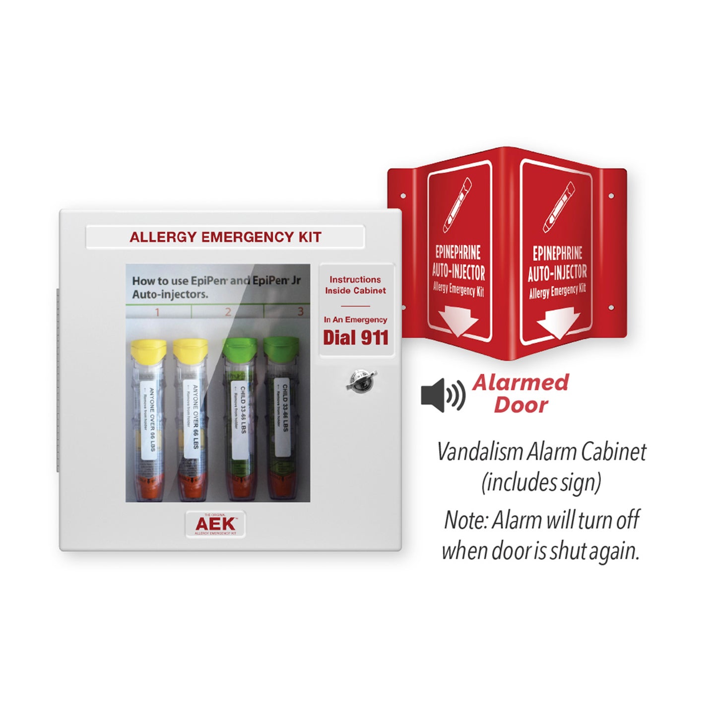 Allergy Emergency Cabinet Kit, with Vandalism Alarm