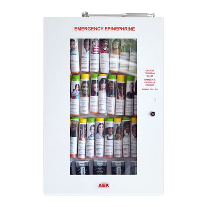 Epinephrine Storage Cabinet Kit, 32-Unit