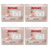 Size 2 / 26-ct / Case of 4