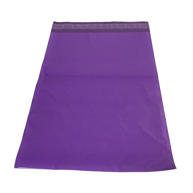 Opaque Puberty Bag for Girl (Purple)