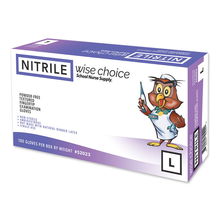 SNS Wise Choice Nitrile Powder-Free Exam Gloves - Large (100-ct)