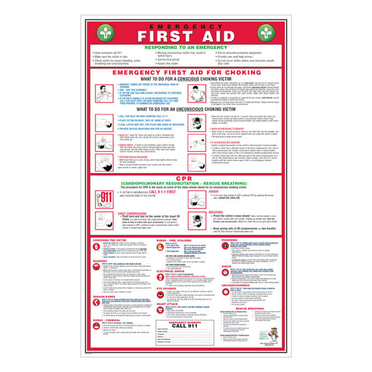 Emergency First Aid Poster