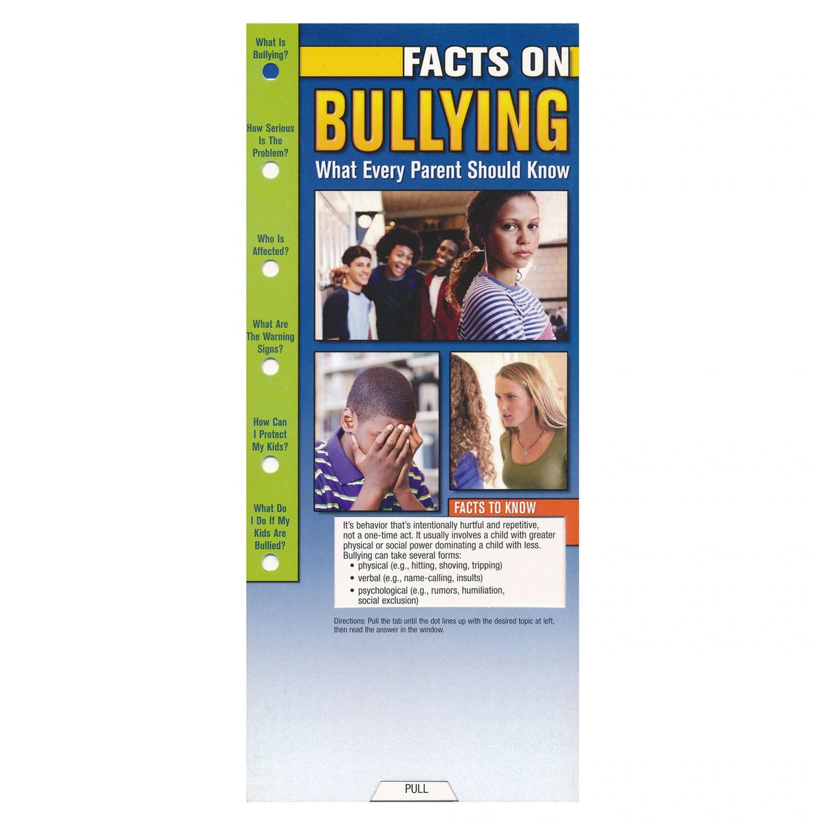 A vertical printed informational poster titled "Facts on Bullying: What Every Parent Should Know" with a blue header, green sidebar, small inset photos, and a light blue gradient lower section. The poster is shown against a plain white background.
