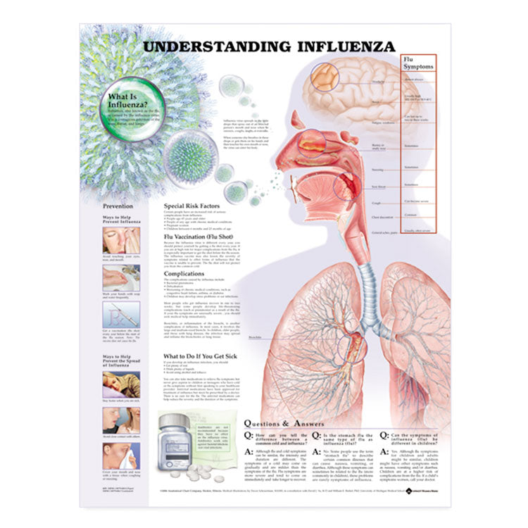 Understanding Influenza