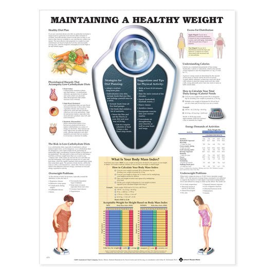 Maintaining A Healthy Weight Poster