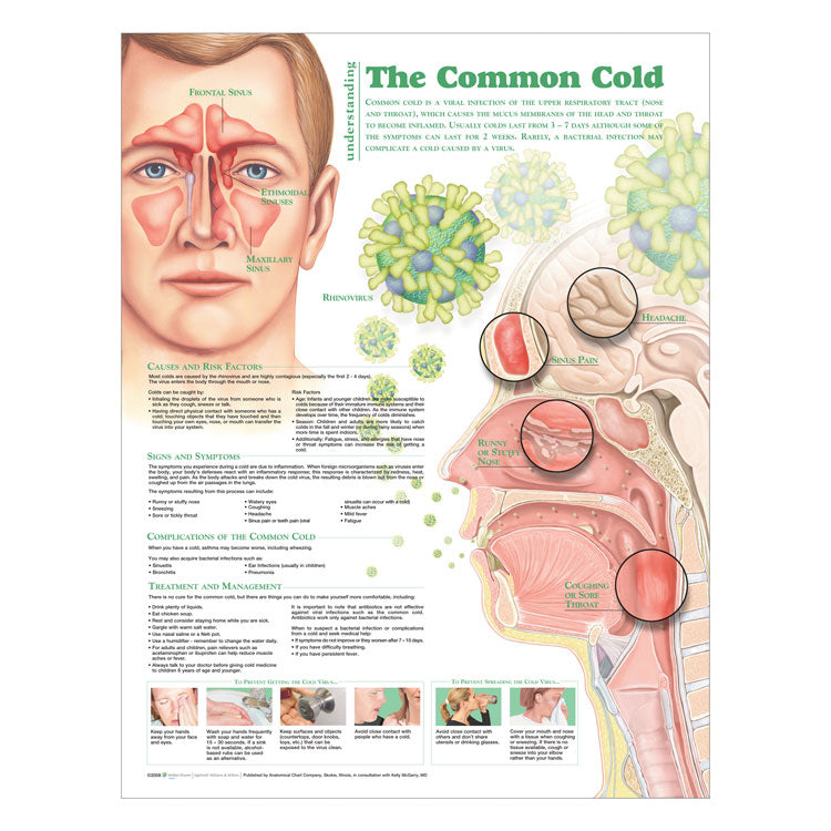 The Common Cold – School Nurse Supply
