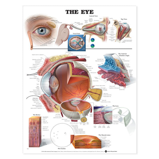 The Eye Chart