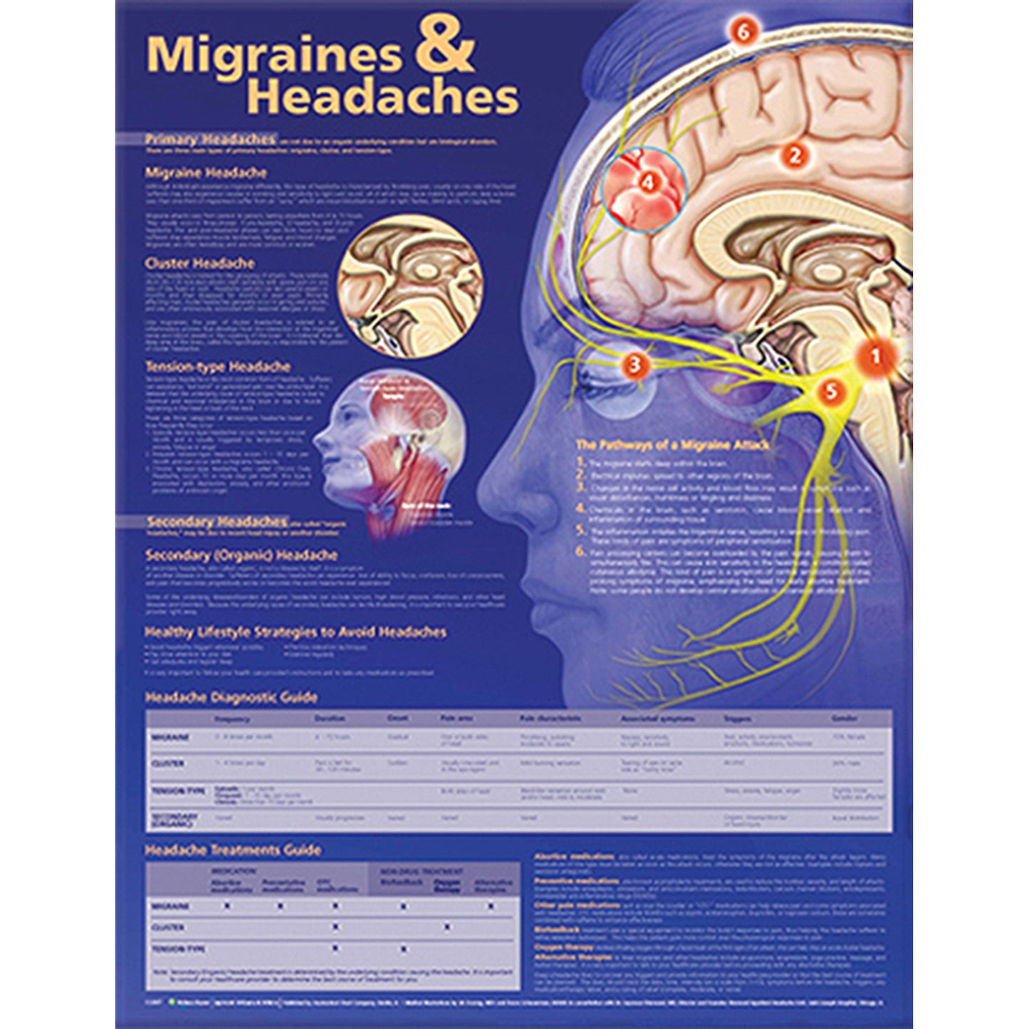 Migraines & Headaches Chart