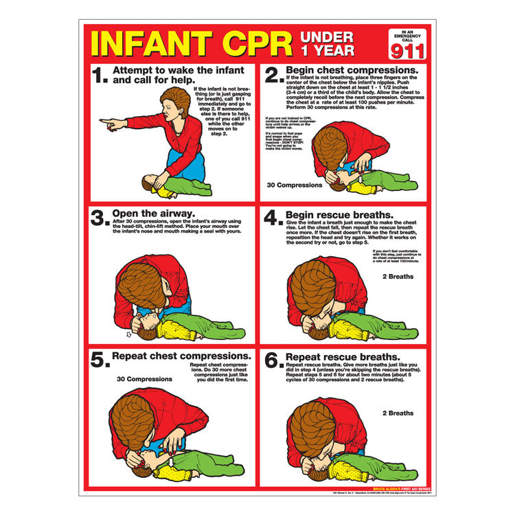 CPR Chart: Infant (Paper)