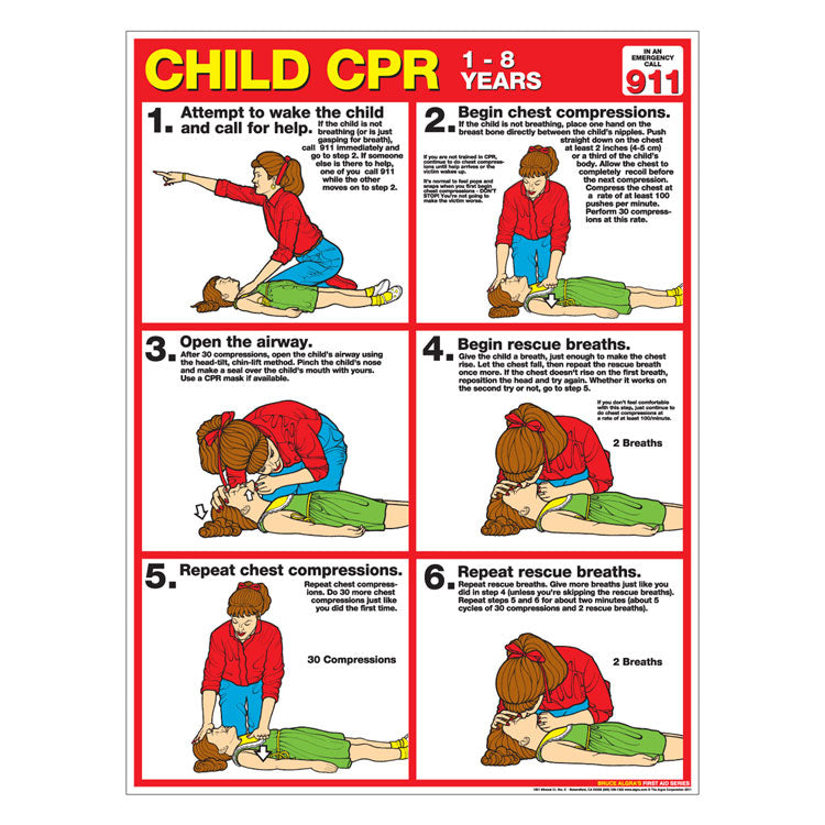 CPR Chart: Child (Laminated)