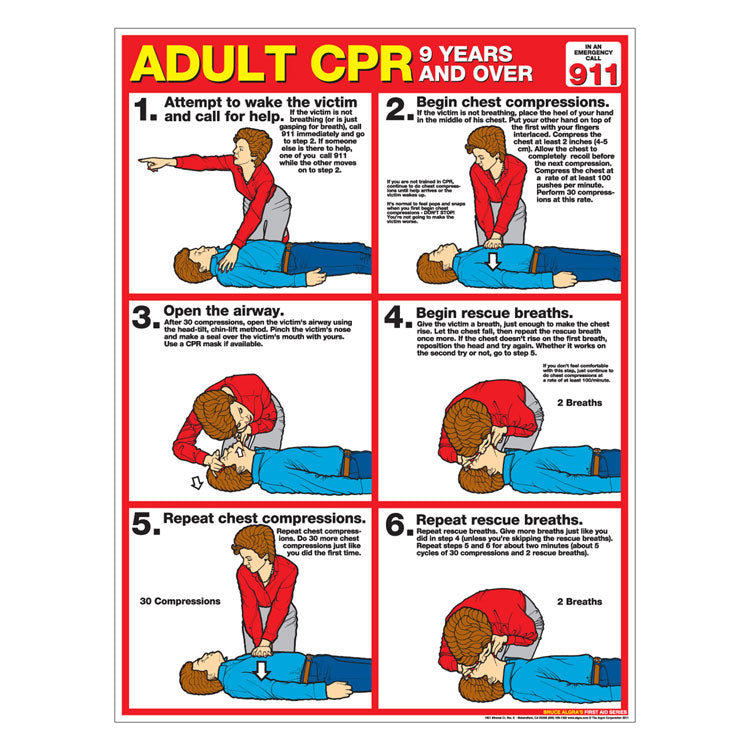 CPR Chart: Adult (Paper)