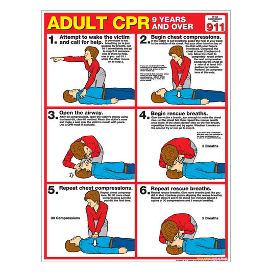 CPR Chart: Adult (Paper)