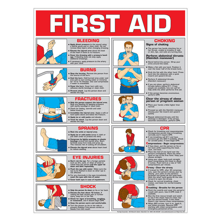 First Aid Poster: Color (Laminated)