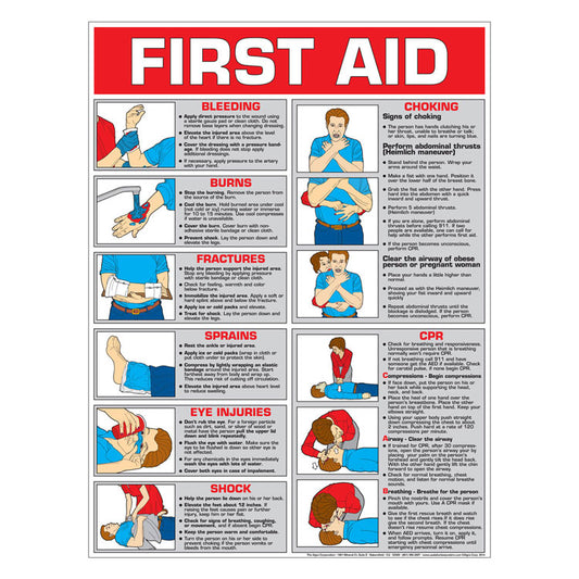 First Aid Poster: Color (Laminated)