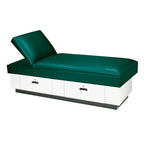 Premier Recovery Couch (2 Lockable Drawers/Adjustable Headrest)