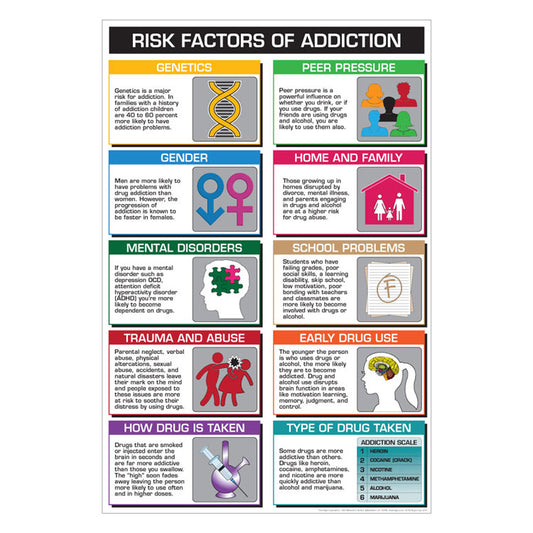 Drug Education Posters - Risk Factors of Addiction