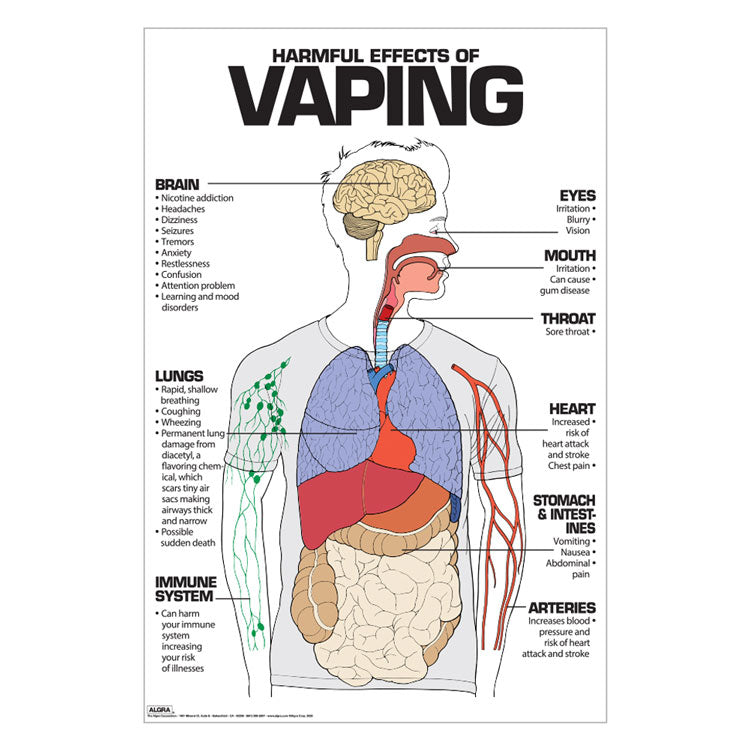 Harmful Effects of Vaping Poster – School Nurse Supply
