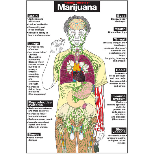 Harmful Effects of Marijuana Poster Poster