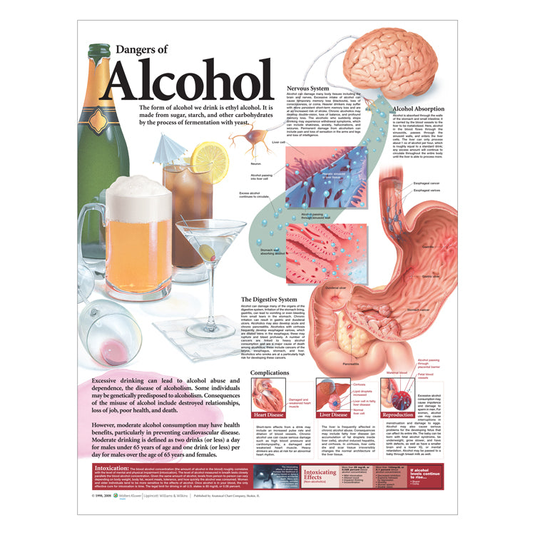 Dangers of Alcohol (Poster)