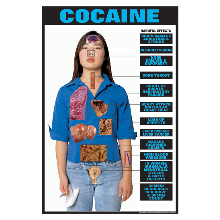 Drug Awareness Poster Collection: Complete Set of 9