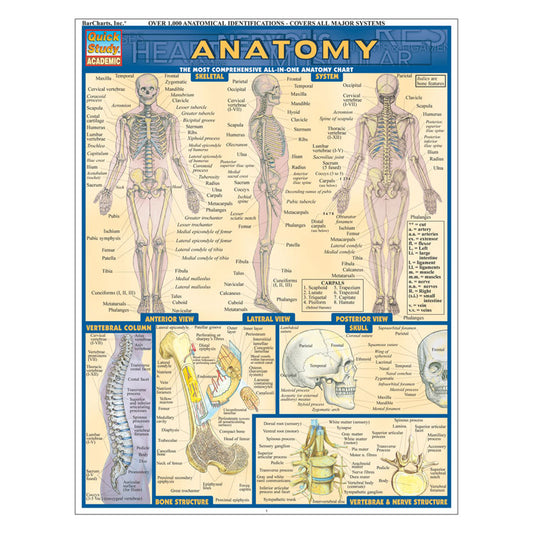 QuickStudy Laminated Reference Guides - Anatomy