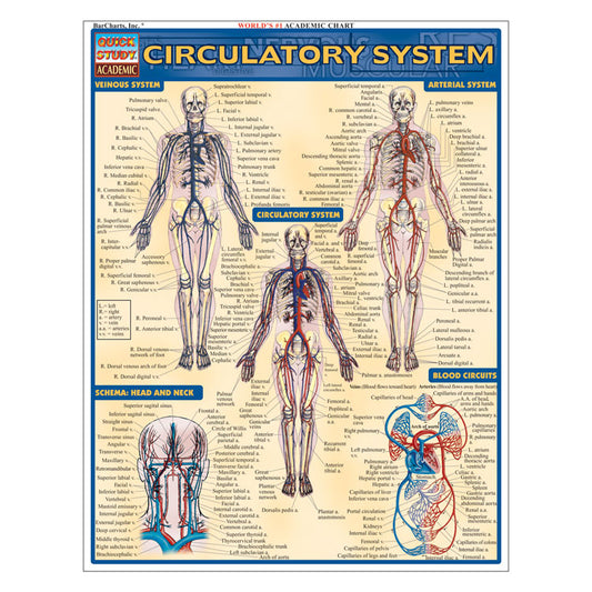 QuickStudy Laminated Reference Guides - Circulatory System