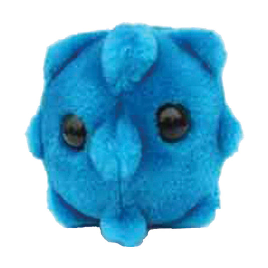 GIANTmicrobes - Common Cold Microbe