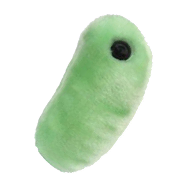 GIANTmicrobes - The Flu Microbe