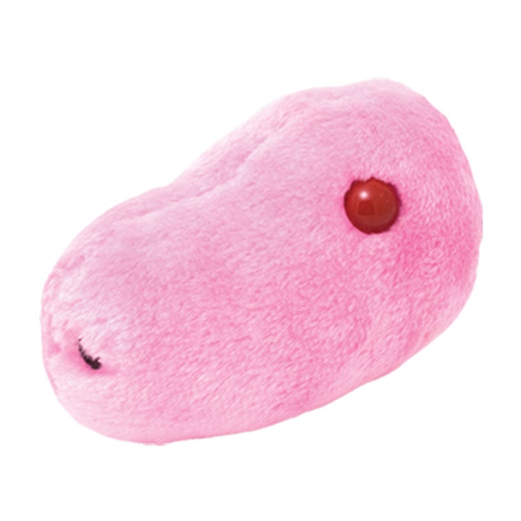 GIANTmicrobes - H1N1 Swine Flu Microbe