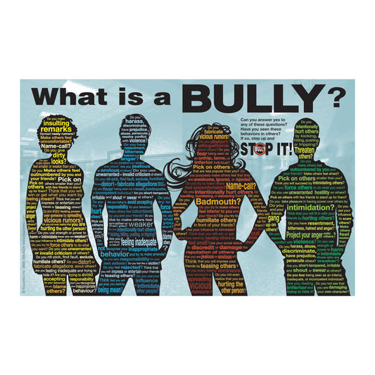 What Is A Bully? Poster