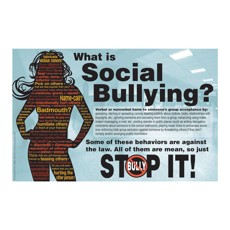 What Is Social Bullying? Poster