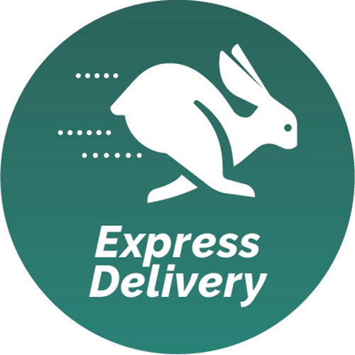 Recovery Couch (Chrome Legs/Fixed Headrest) *EXPRESS DELIVERY*
