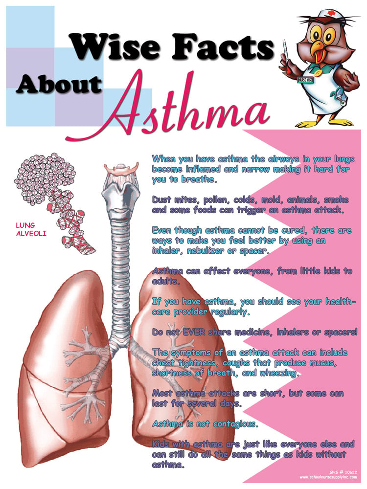 SNS Wise Facts About Asthma Poster