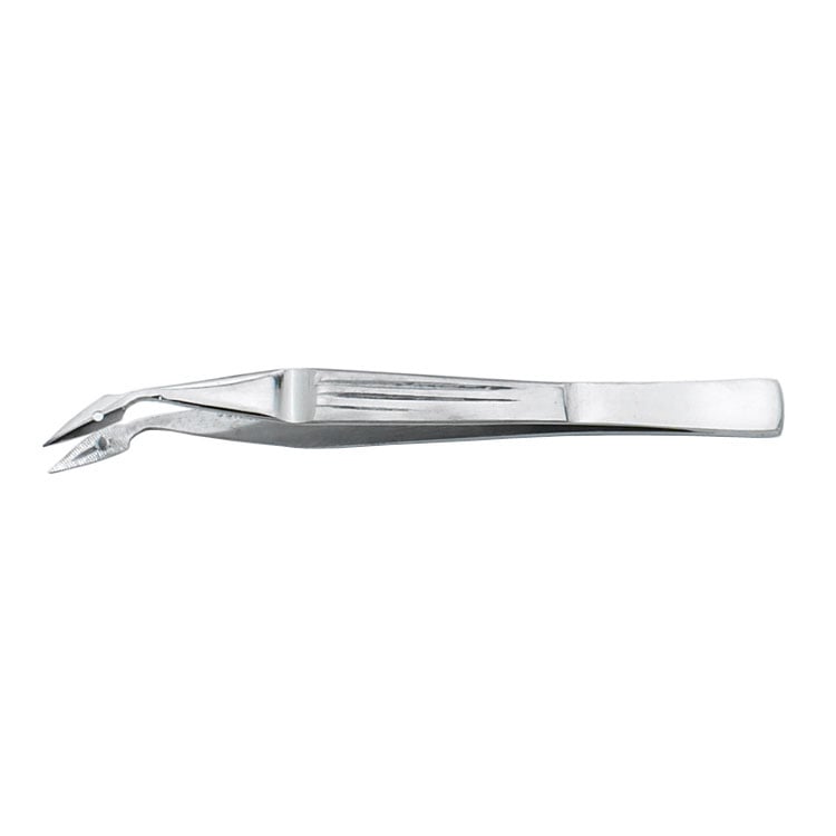 Carmalt Forceps - 4" Curved