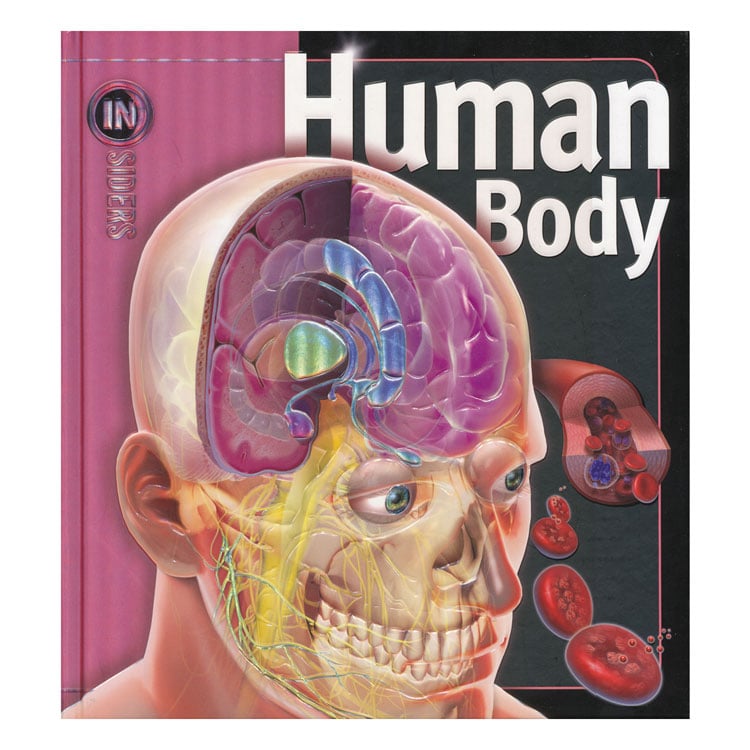 Human Body